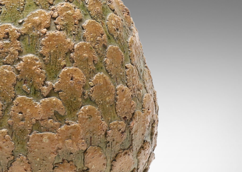 Gallery BAC form and applied texture of a pine cone, glazed in gold-tan and olive green