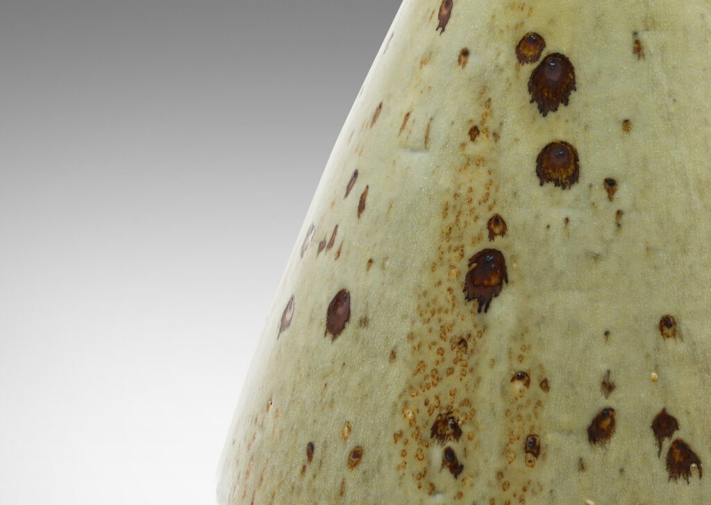 Gallery BAC conical form glazed in tan-gray with dark brown pots