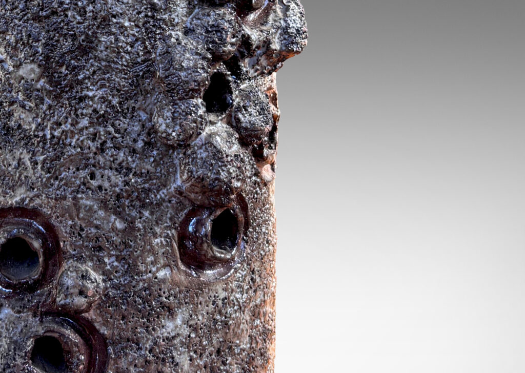 Gallery BAC cylindrical forms with attenuated necks, with textured surfaces and barnacle-like organic elements